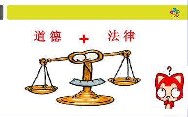 職業(yè)道德與法律 構(gòu)建專業(yè)行為的雙支柱